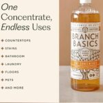 Branch Basics Cleaning Essentials Kit Review