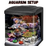 Coralife LED BioCube Aquarium Fish Tank Kit (16 Gallon) Review