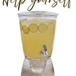 CreativeWare Bark Beverage Dispenser Review