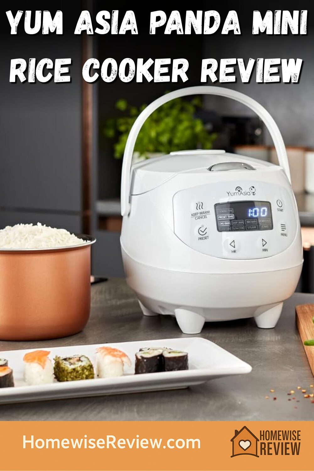 Yum Asia Panda Mini Rice Cooker Review
