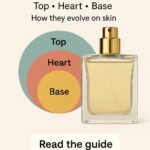 Fragrance Notes Explained